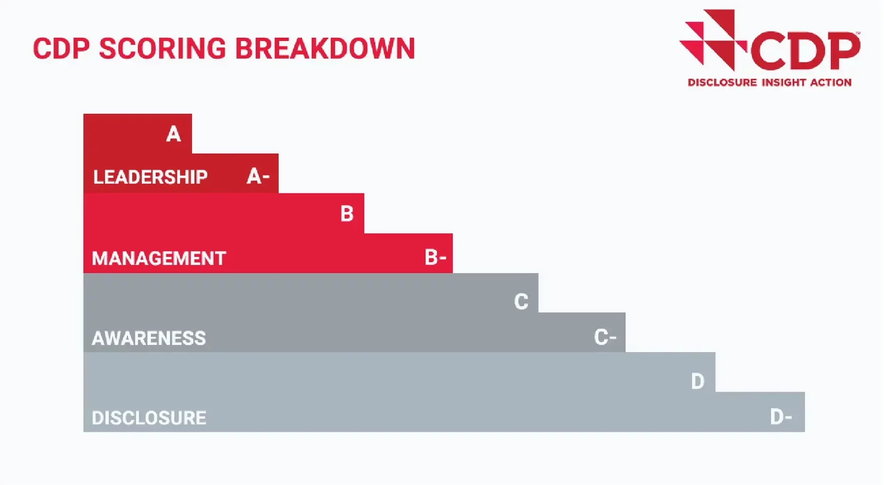 CDP Scoring Breakdown