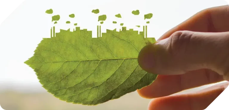 Read more about the article How are investor and customer demands shaping sustainability?