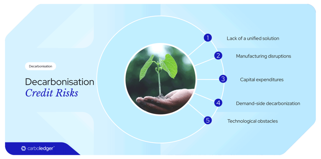 Credit risks in decarbonisation