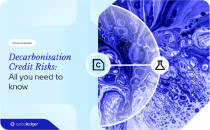 Read more about the article Decarbonisation credit risks: All you need to know