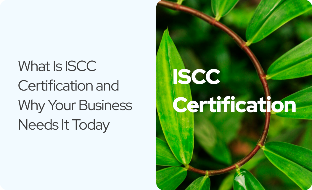 You are currently viewing What Is ISCC Certification and Why Your Business Needs It Today