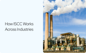 Read more about the article How ISCC Works Across Industries