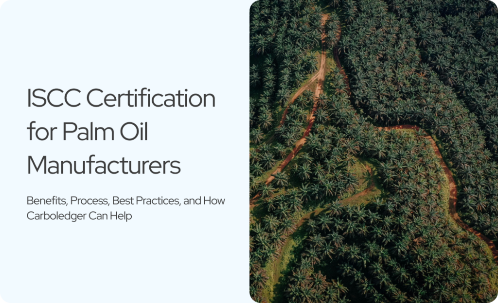 ISCC Certification for Palm Oil Manufacturers