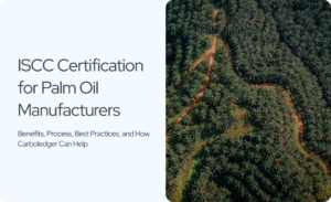 Read more about the article From Audit Panic to Market Access: How Palm Oil Manufacturers Can Master ISCC Certification