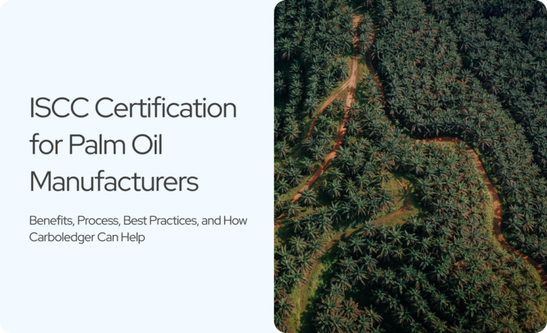 Read more about the article From Audit Panic to Market Access: How Palm Oil Manufacturers Can Master ISCC Certification