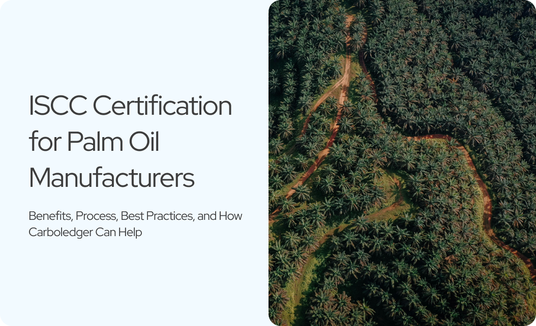 You are currently viewing From Audit Panic to Market Access: How Palm Oil Manufacturers Can Master ISCC Certification