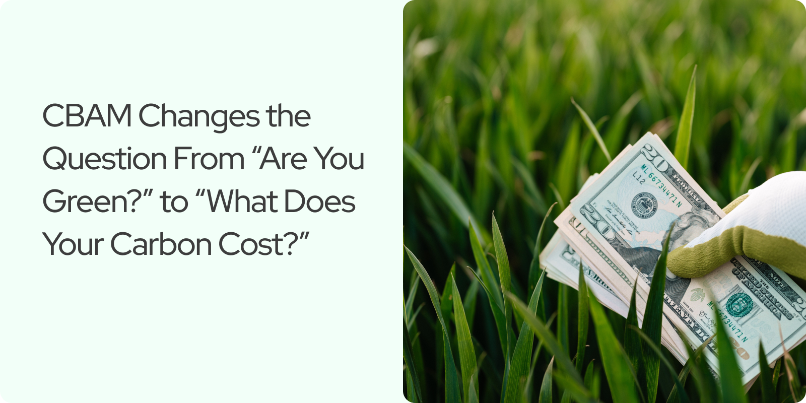 You are currently viewing CBAM Changes the Question From “Are You Green?” to “What Does Your Carbon Cost?”